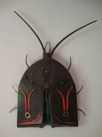 Bild leider nicht gefunden