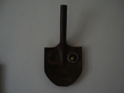 Bild leider nicht gefunden